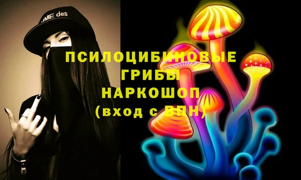 прущий лед Алексин
