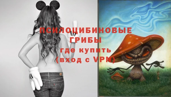 прущий лед Алексин