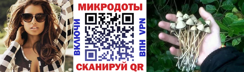 Псилоцибиновые грибы Psilocybine cubensis  Махачкала 