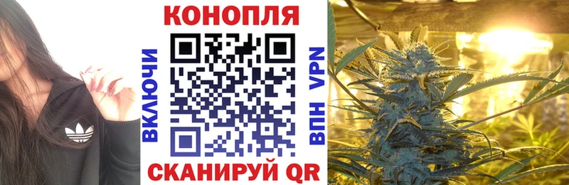 Шишки марихуана план  MEGA зеркало  Махачкала 